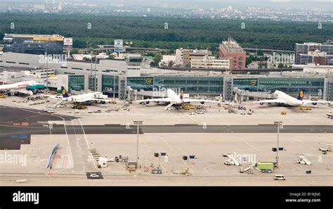 Planes in parking positions at the terminal, Frankfurt Airport ...