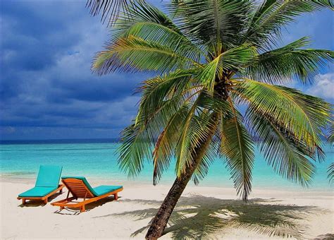 Bahamas Islands Bahamas Tropical Island Sunbeds Beach Hd Wallpaper