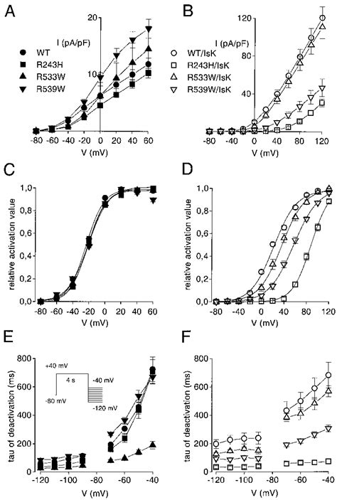 Electrophysiological Properties Of Wt And Mutant Kvlqt Homomeric