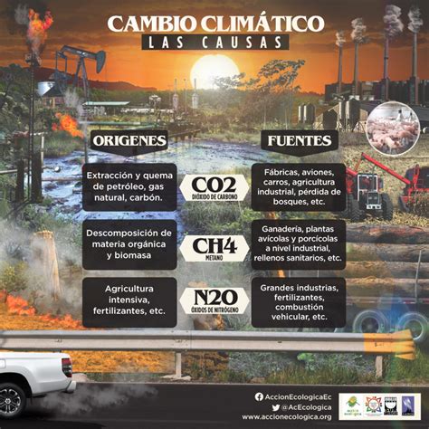 Infograf As Sobre Cambio Clim Tico Acci N Ecol Gica