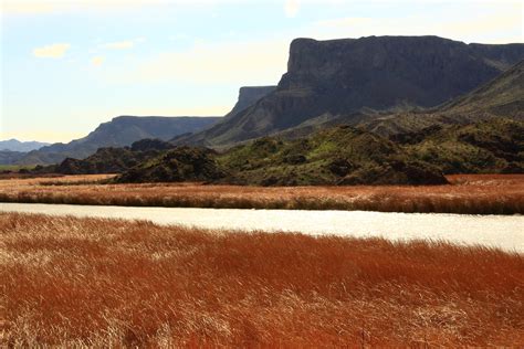 Bill Williams River | Natural Atlas