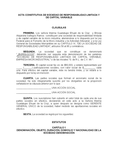 De M9 U2 S5 Acta Constitutiva De Sociedad De Responsabilidad Limitada Y De Capital Variable 2018