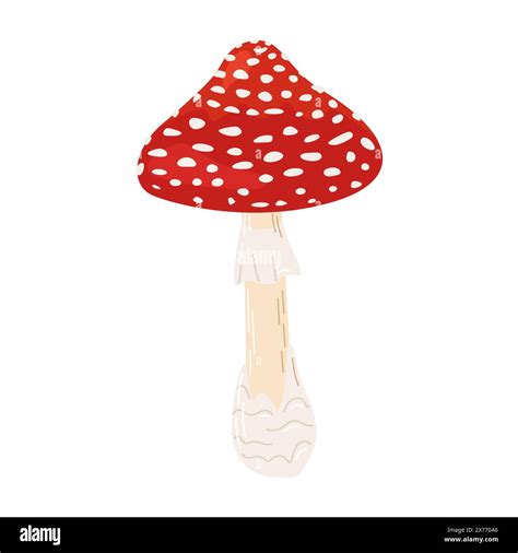 Fly Agaric Red Poison Mushroom Hand Drawn Amanita Muscaria Hallucinogenic Psychedelic Forest