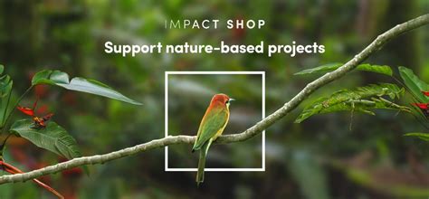 Supporting nature-based projects | Ecologi