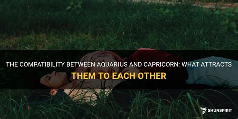 The Compatibility Between Aquarius And Capricorn What Attracts Them To