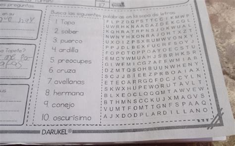 Ayuda Porfa Tengo Muchas Sopas De Letras Brainly Lat