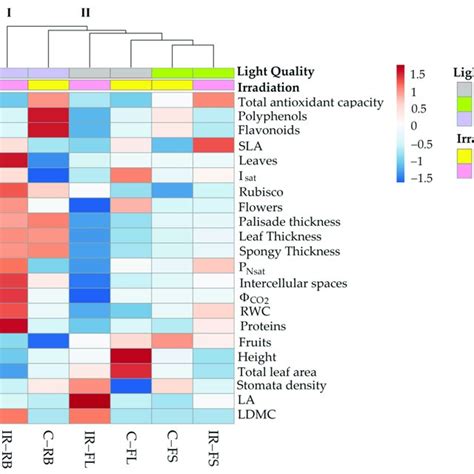 Cluster Heatmap Analysis Of Morphological And Physiological Parameters