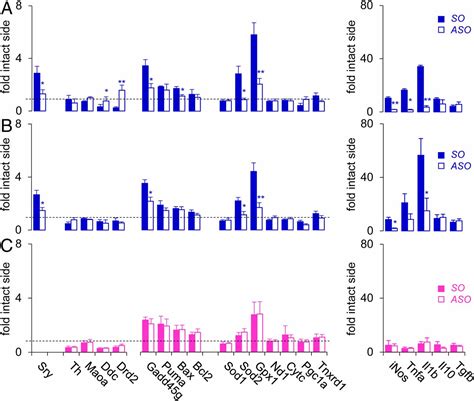 Sex Specific Neuroprotection By Inhibition Of The Y Chromosome Gene