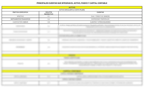 SOLUTION 1 Principales Cuentas Que Integran El Activo Pasivo Y Capital