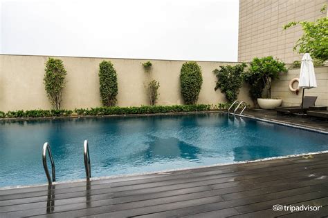 Jw Marriott Hotel New Delhi Aerocity Pool: Pictures & Reviews - Tripadvisor