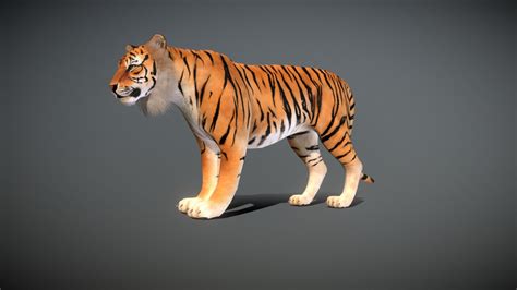 Tiger Head 3d Model