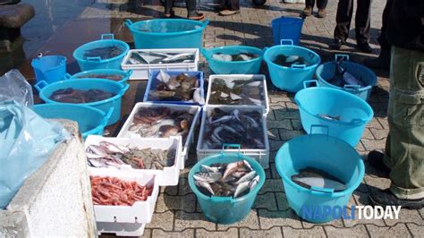 Sequestrati Quintali Di Pesce A Pozzuoli