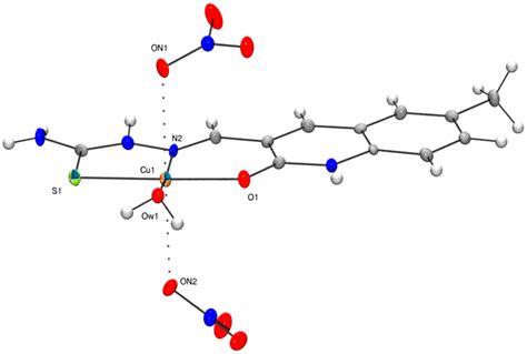 Molecules Free Full Text Synthesis Characterization And Biological