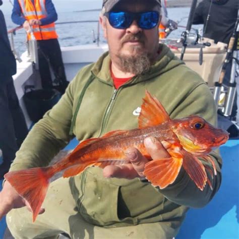 Tope The Highlight Of Some Great Fishing In Galway Bay Fishing In