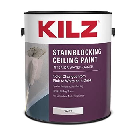 Top 10 Best Bright White Ceiling Paint : Reviews & Buying Guide - Katynel