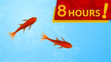 CAT GAMES - CATCHING FISH 8-HOUR VERSION (VIDEOS FOR CATS TO WATCH ...