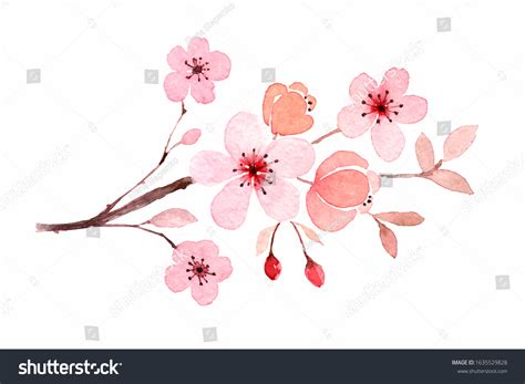 Cherry Blossom Branch Watercolor Stock Illustration 1635529828 ...