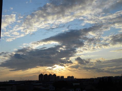 【雨后夕阳摄影图片】太仓纪实摄影大鹏金嘴鸟太平洋电脑网摄影部落