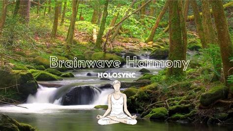 Brainwave Harmony The Holosync Awakening Experience YouTube