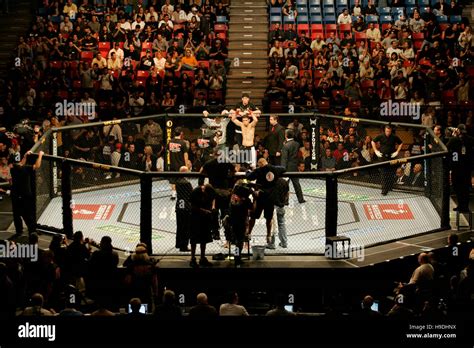 The Octagon ring during the Ultimate Fighting Championship UFC 65 at the Arco Arena in ...