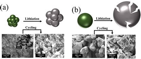 Towards An Enhanced Understanding Of The Particle Size Effect On