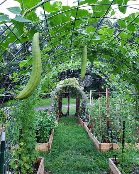 Easy Diy Gardening Ideas With Vegetables That Surprised You