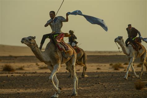 Adrar Mauritanien Le Festival De Ouadane En Ouverture De La Saison