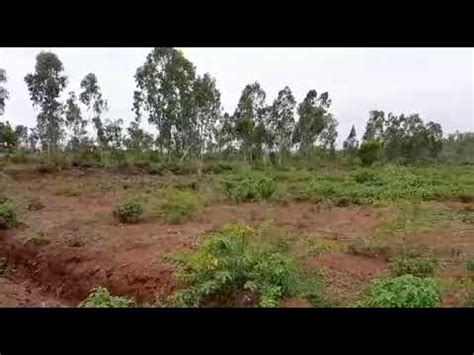 Acer Agricultural Land For Sale Youtube