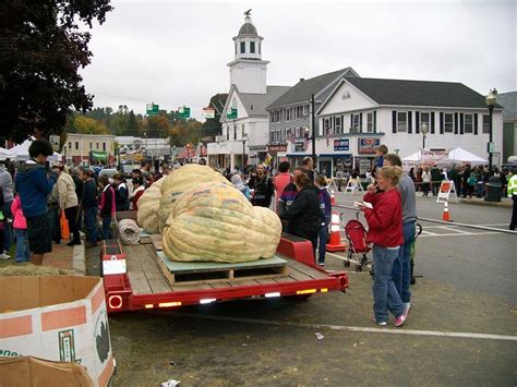 Pumpkin Festival 2024 Milford Nh 2024 - Camel Abigael