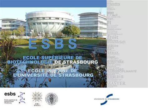 Ppt E S B S Ecole Sup Rieure De Biotechnologie De Strasbourg Ecole