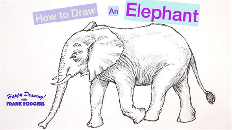 Incredible Collection of 4K Elephant Drawing Images: Over 999 Exquisite Pieces