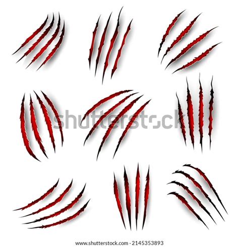 162 Wildcat Claw Marks Images Stock Photos 3d Objects And Vectors