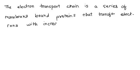 Solved Describe Or Diagram With Labels What Is Meant By The Term Electron Transport Chain