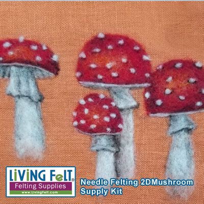 Needle Felting Picture Kit Needle Felt Mushroom D Livingfelt