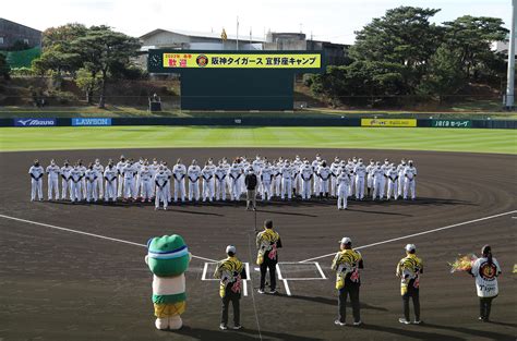 阪神20年目のキャンプセレモニー 宜野座村長「最後にはリーグ優勝、日本一を勝ち取って」 プロ野球写真ニュース 日刊スポーツ