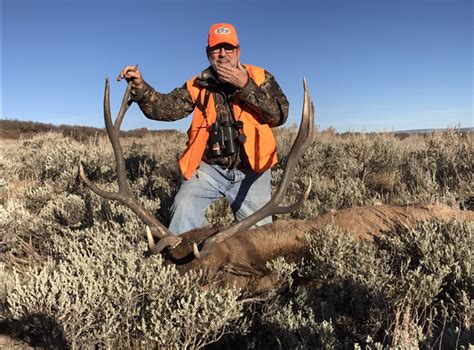 Colorado Trophy Elk Hunts Unit