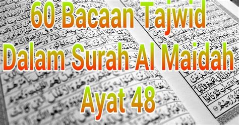 Surat Al Maidah Ayat 48 Surah Al Maidah Ayat 48 Beserta Artinya Gbodhi Sehingga Allah