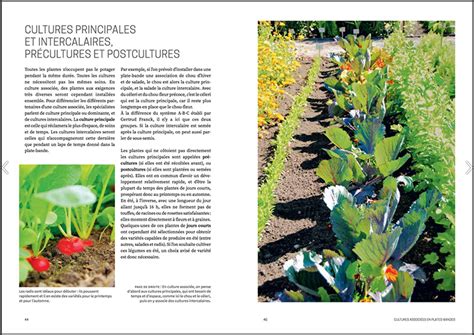 Les cultures associées au potager