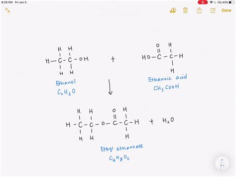 Solved The Following Chemical Reactants Produce The Ester Ethyl Ethanoate C 4 H8 O2 C2 H6 O