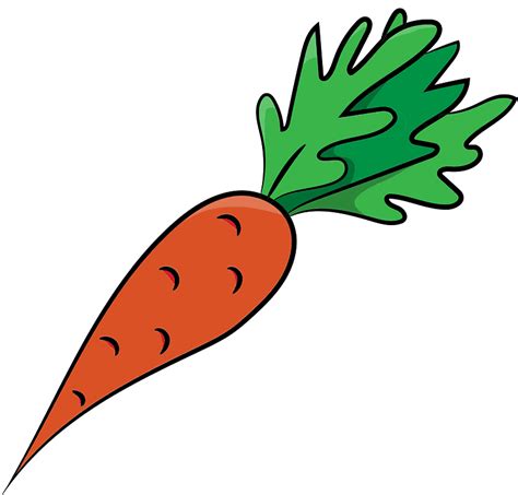 Carrot clipart transparent background - Clipart World