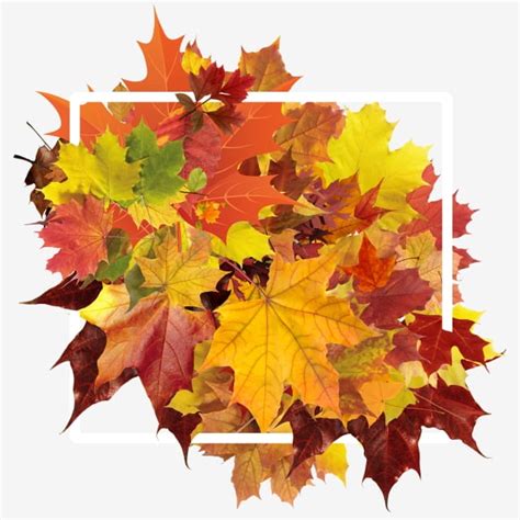 Autumn Leaves Border - buy on Templates.Expert