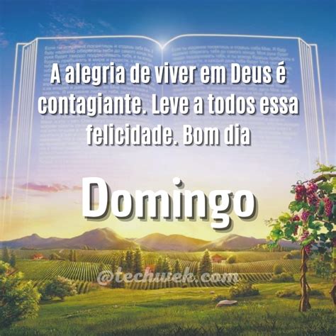 40 Frases De Bom Dia Domingo Com Deus Cheio De Paz E Muitas Bênçãos