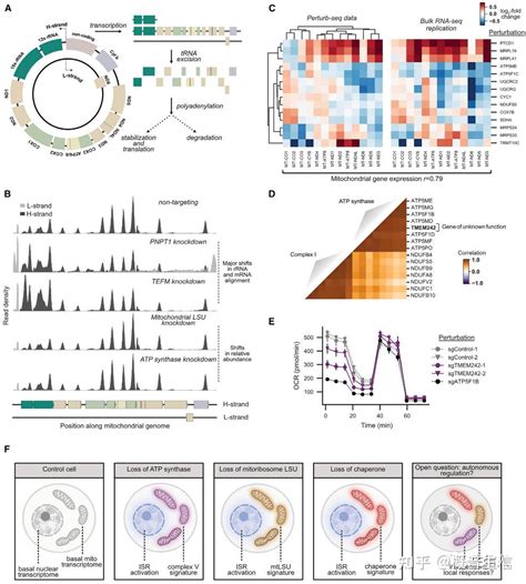 Perturb Seqcrispr Single Cell