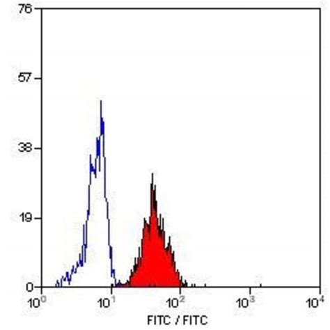 Icam Monoclonal Antibody Invitrogen G Unconjugated