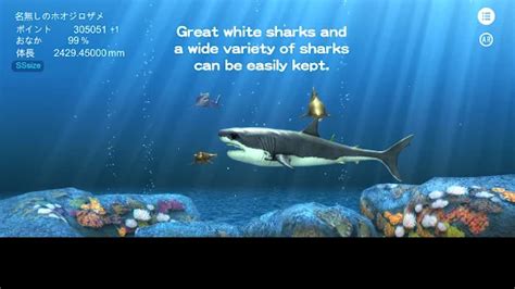 Download Great white shark breeding AR on PC (Emulator) - LDPlayer