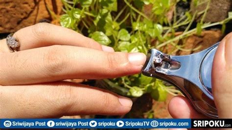 HIKMAH Larangan Memotong Kuku Dan Rambut Pada 10 Hari Pertama Bulan