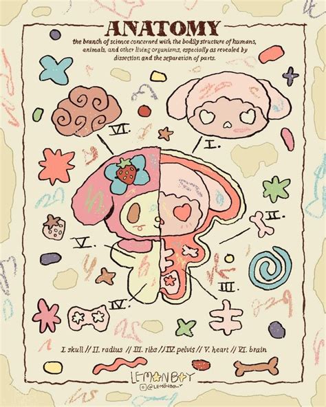 My Melody Anatomy | Pegatinas bonitas, Dibujos bonitos, Póster bonito