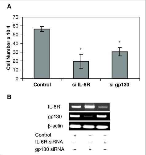 Knockdown Of Il Signaling Suppresses Cell Growth A Du Cells