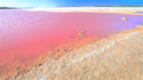 17 Incredible Pink Lakes Pink Lake Australia Guide