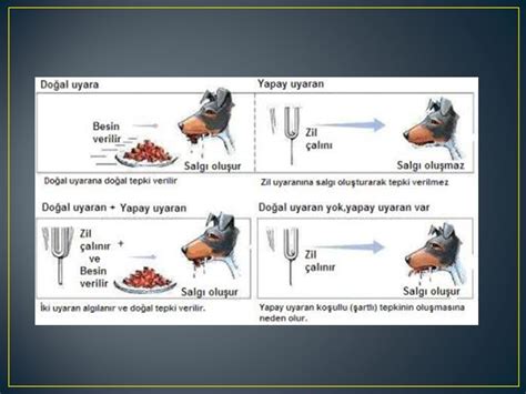 Sorusu Hemen Her Retmenin Retmenlik Mesle I S Resince